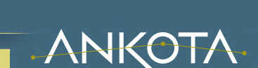 Ankota Healthcare Delivery Management