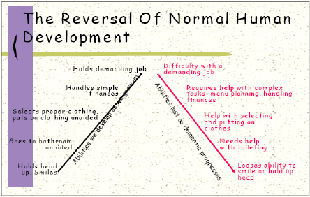 The theory of Retrogenesis