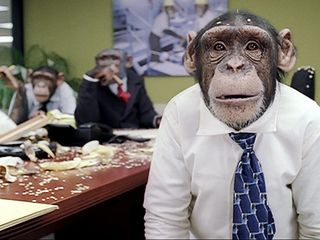 Superbowl Ads chimp