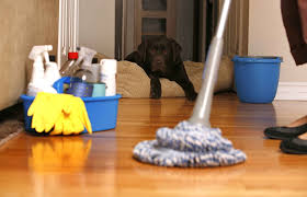 Cleaning_Supplies_Ankota