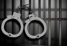 Home Care Fraud Jail