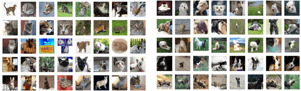 Deep Learning Cats and Dogs