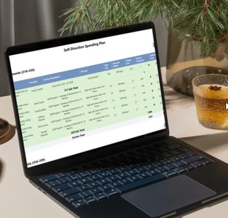 FMS Manage Spending Plan