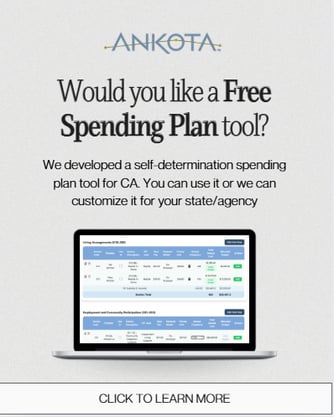 Free spending plan tool