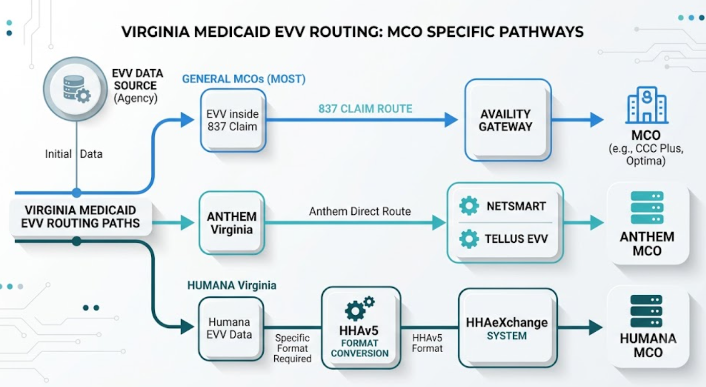 Diagram of Virginia Medicaid EVV routing showing standard 837 claims, Anthem to Netsmart, and Humana to HHAeXchange, representing multi-payer EVV complexity